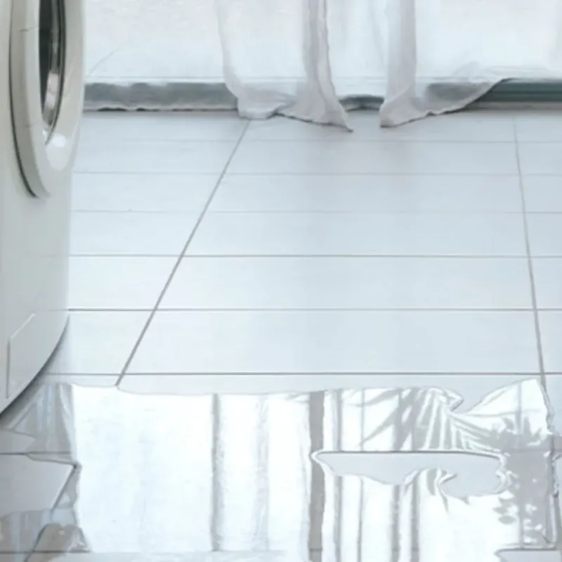 Appliance Leak Cleanup in Manitowoc County, WI