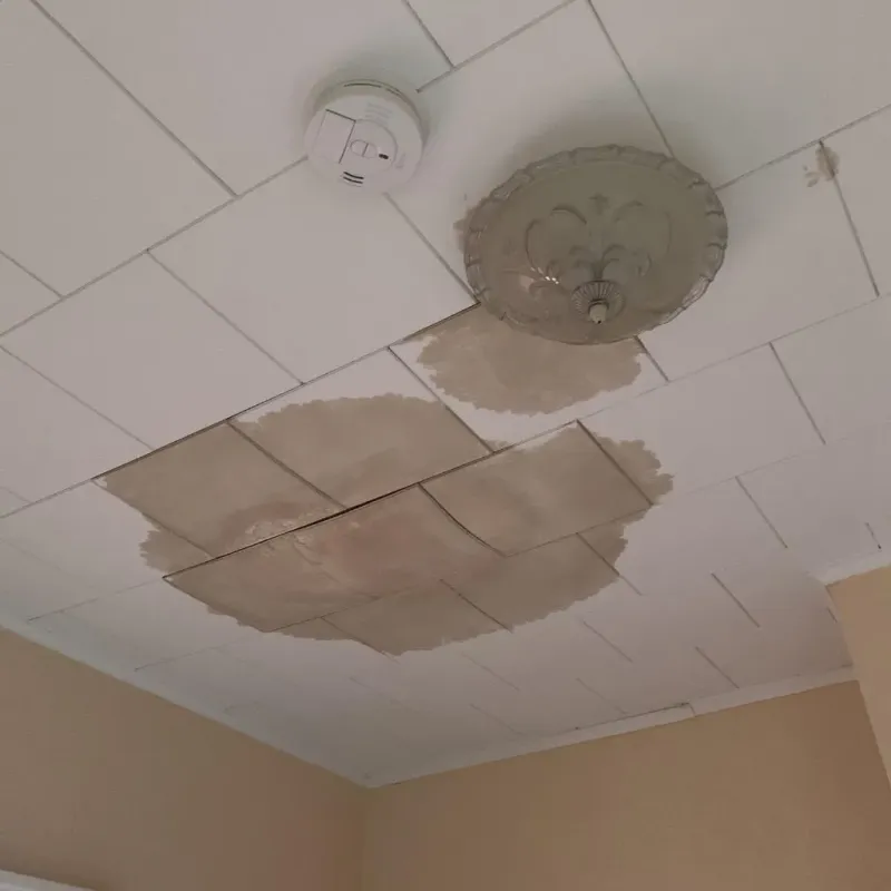 Ceiling Water Damage Repair in Manitowoc County, WI
