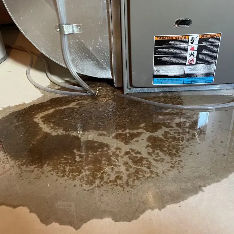 Pipe Burst and Leak Restoration in Manitowoc County, WI